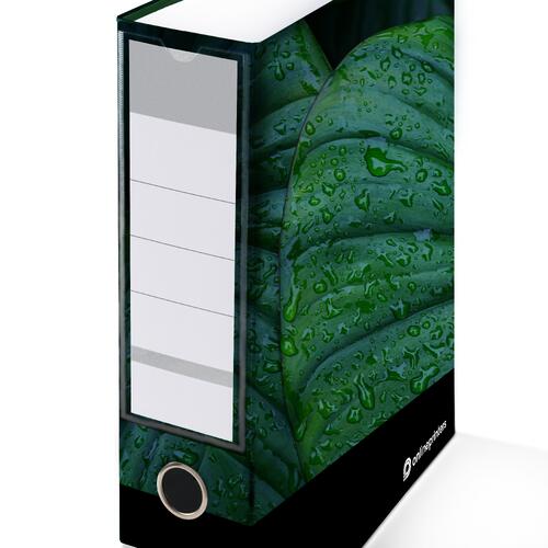 Bedruckter Aktenordner mit Ringmechanik und R�ckenschild.