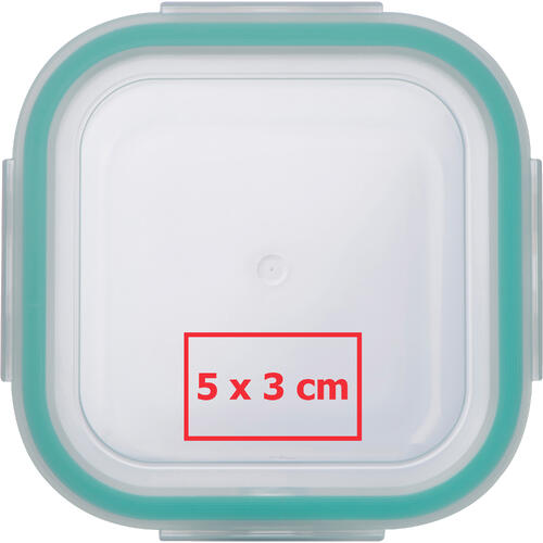 Transparente Frischhaltedose mit farbigem Dichtungsring.